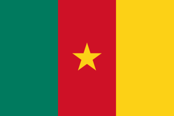 Flag of Cameroon - Republic of Cameroon - All Flags ORG