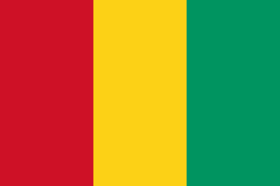 Flag of Guinea - Republic of Guinea - All Flags ORG