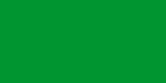 Flag of Libya - Great Socialist People's Libyan Arab Jamahiriya - All Flags ORG