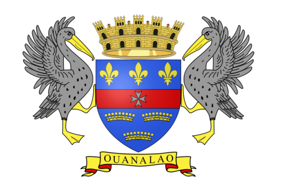 Flag of Saint Barthélemy - Collectivity of Saint Barthélemy (French overseas collectivity) - All Flags ORG