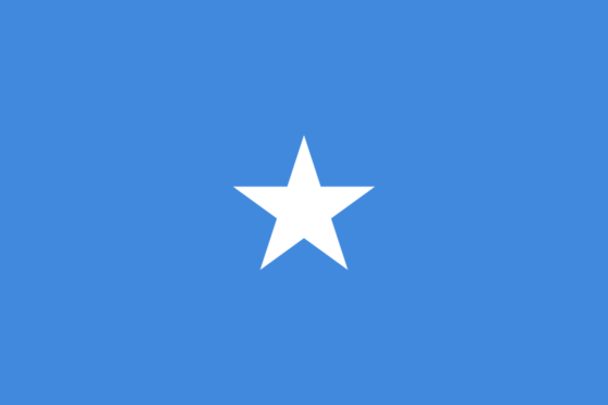 Flag of Somalia - Somali Republic - All Flags ORG