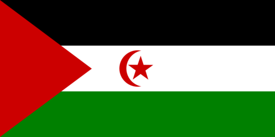 Flag of Western Sahara - Sahrawi Arab Democratic Republic - All Flags ORG