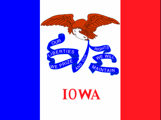 State Flag of Iowa - All Flags ORG