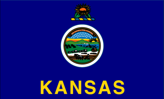 State Flag of Kansas - All Flags ORG