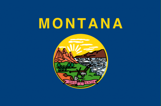 State Flag of Montana - All Flags ORG
