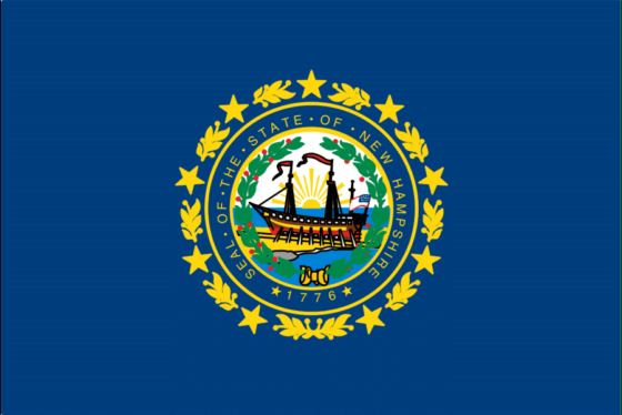 State Flag of New Hampshire - All Flags ORG