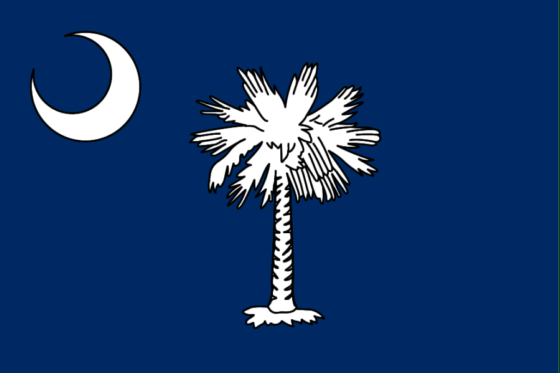 State Flag of South Carolina - All Flags ORG
